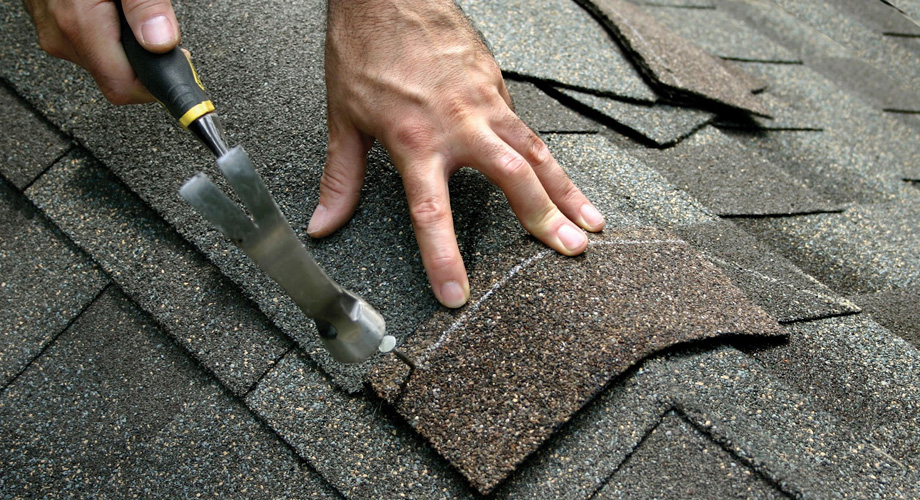 Roof Shingles Repairs & Maintenance